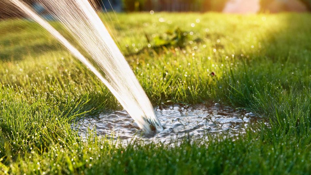 watere leak in the backyard